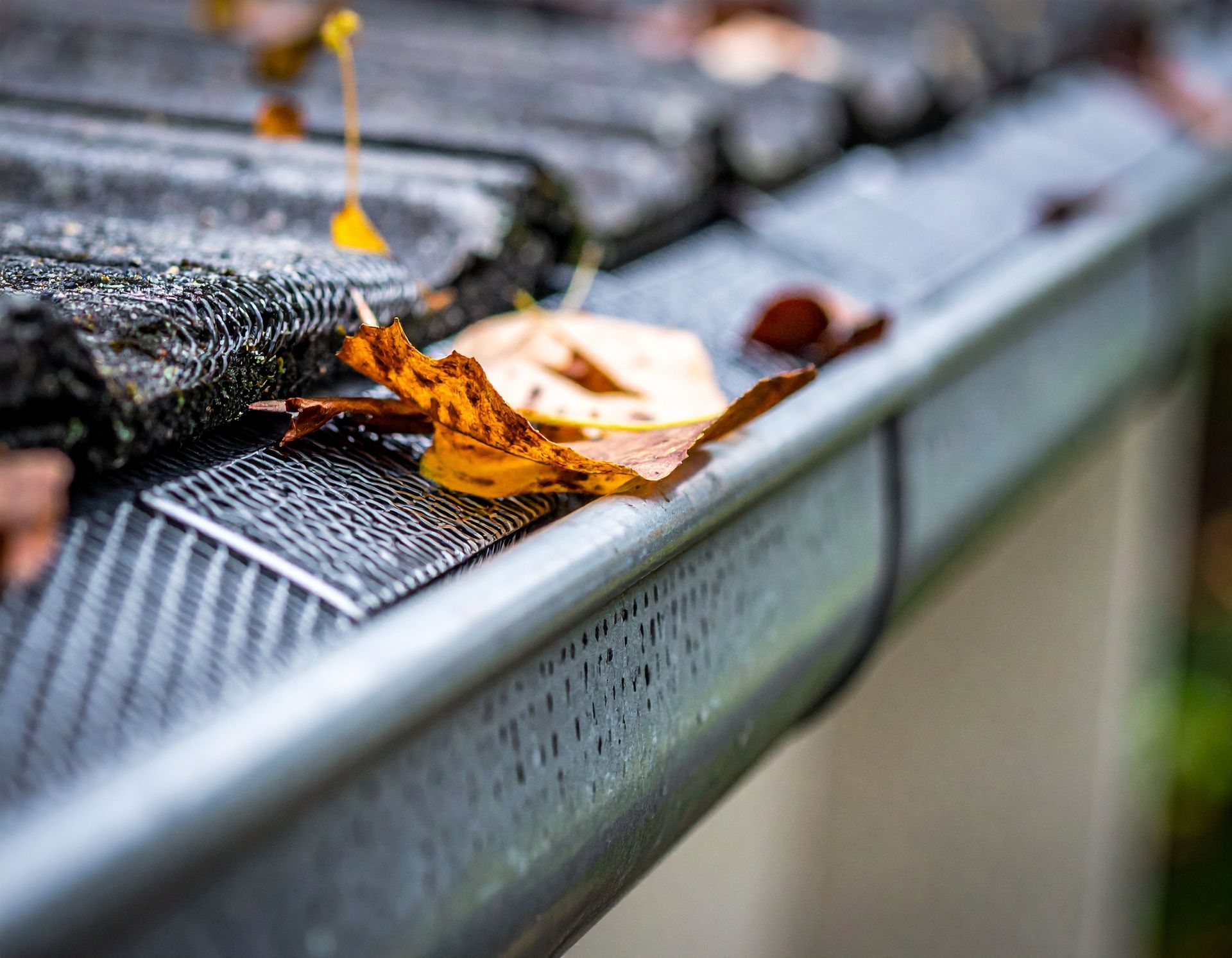 Orange leaves on a rain gutter beside a blurred roof edge in fall.