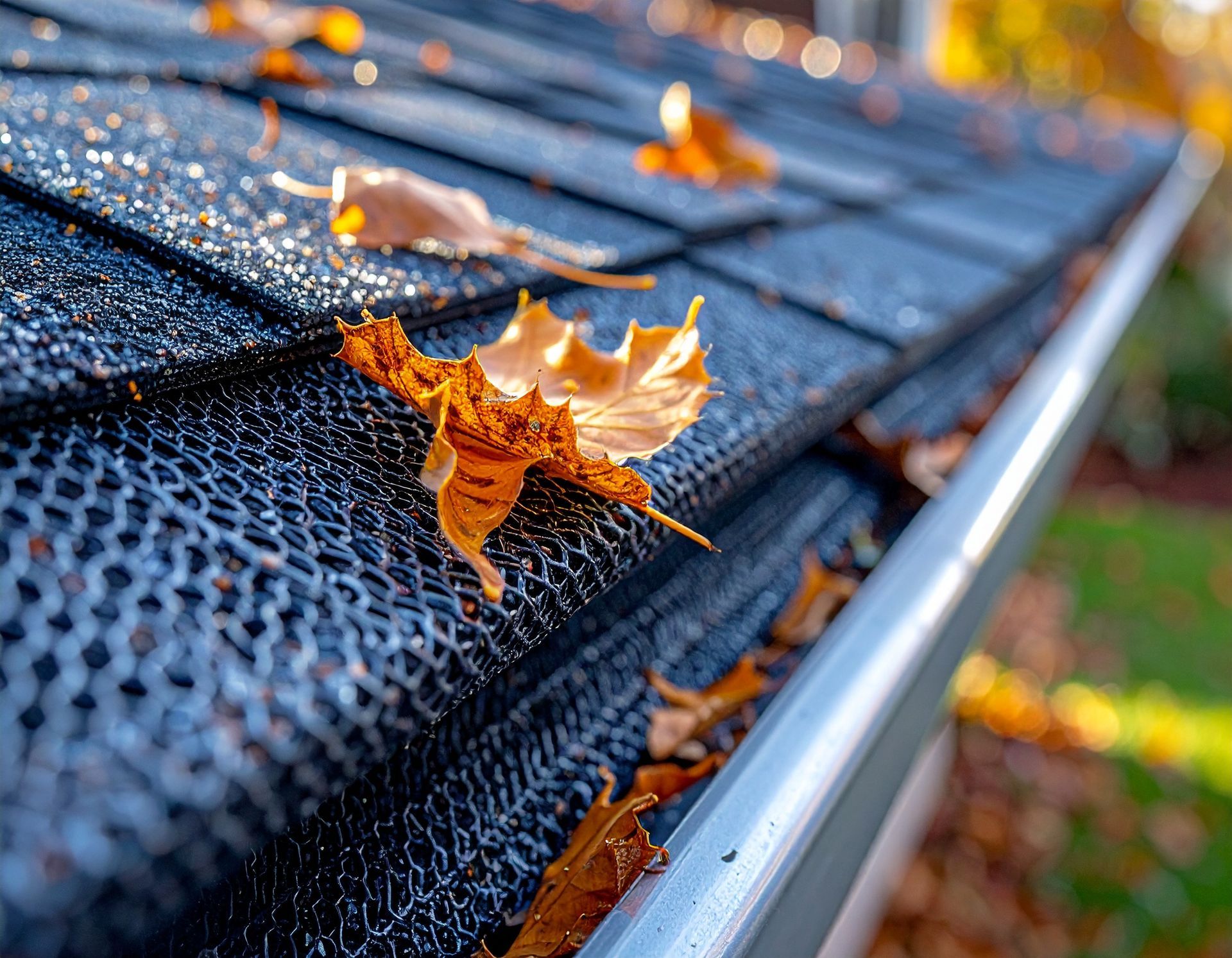 Close-up of wet black roof shingles with orange autumn leaves and a gutter edge