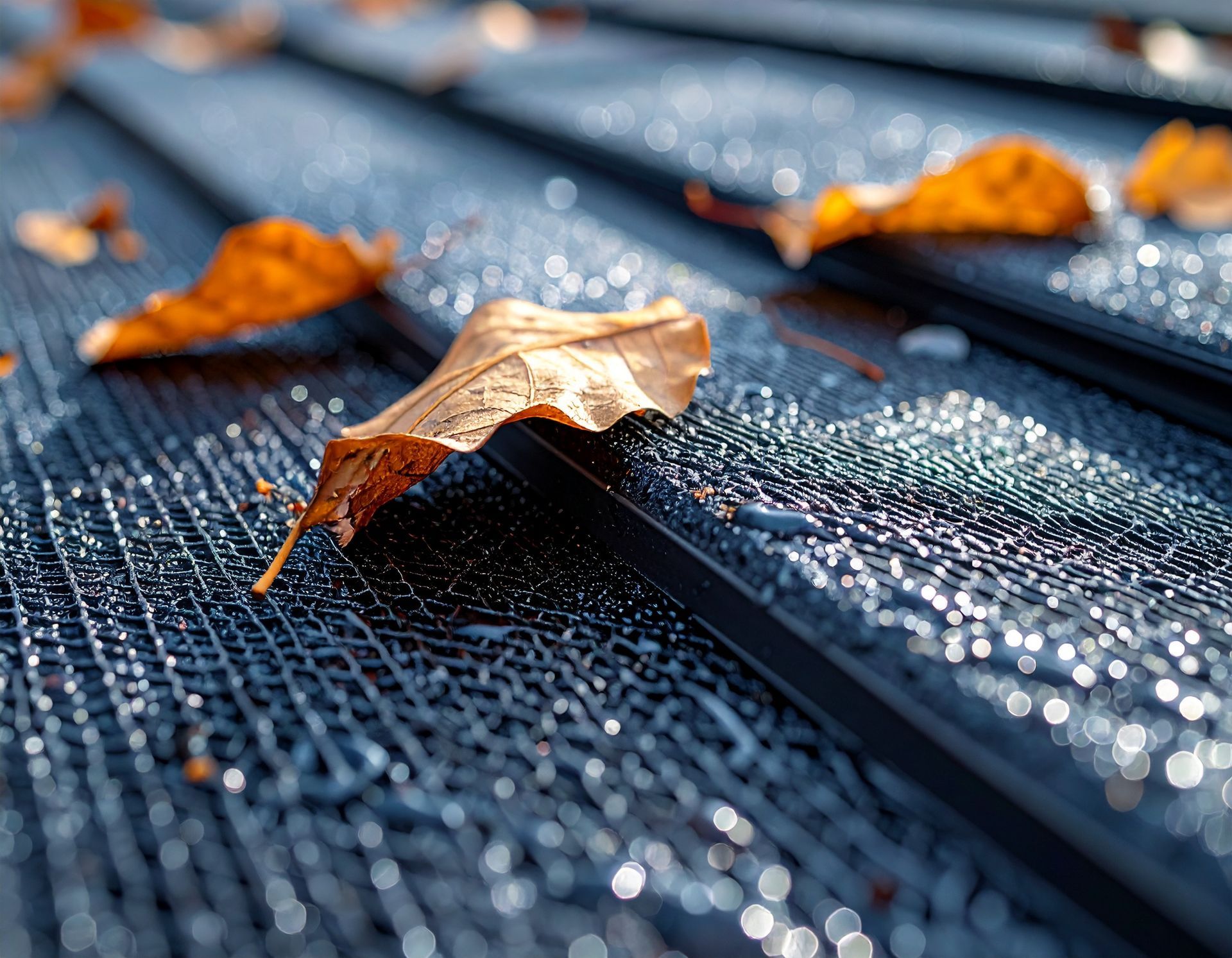 Orange leaves on a wet blue surface with water droplets