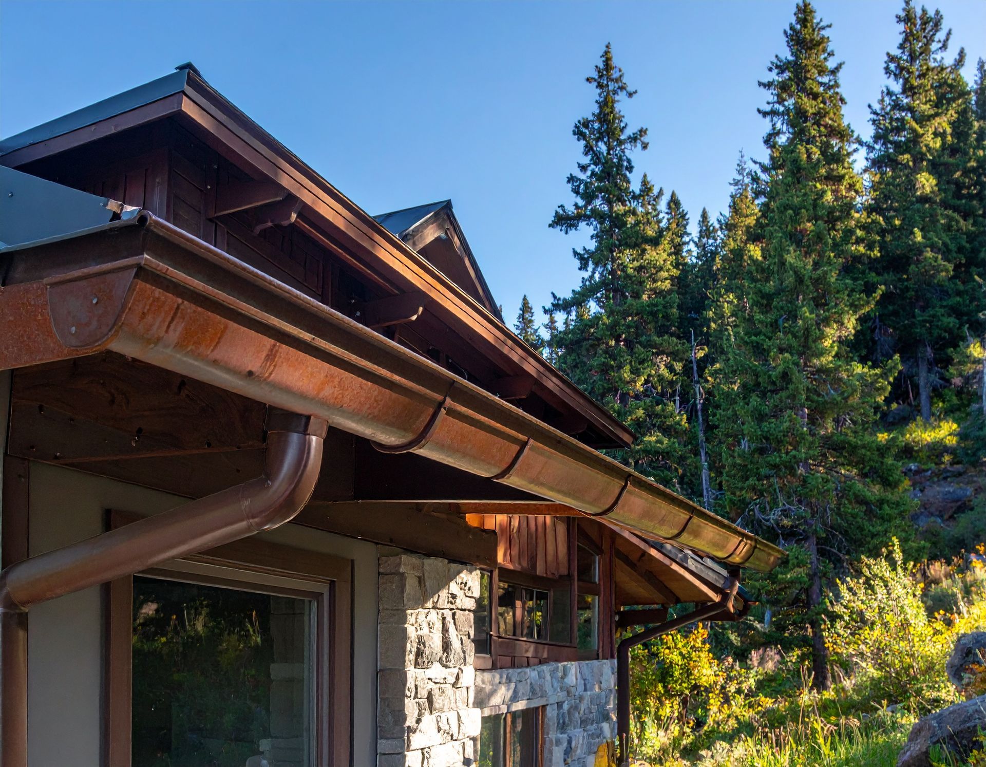 Wooden cabin roof with rain gutters beside tall evergreen trees in a sunny forest setting