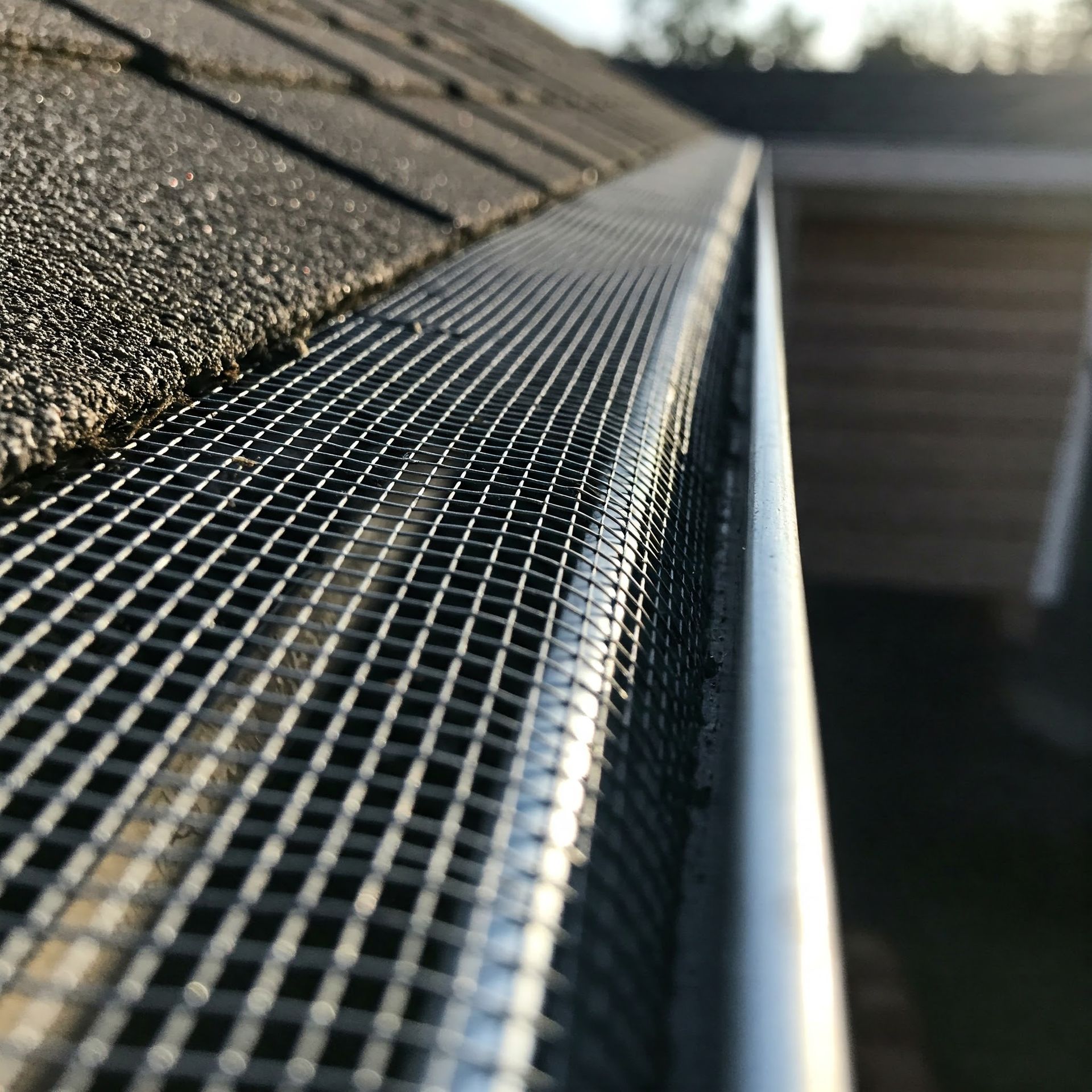 A close up of a gutter on a roof with a mesh on it.