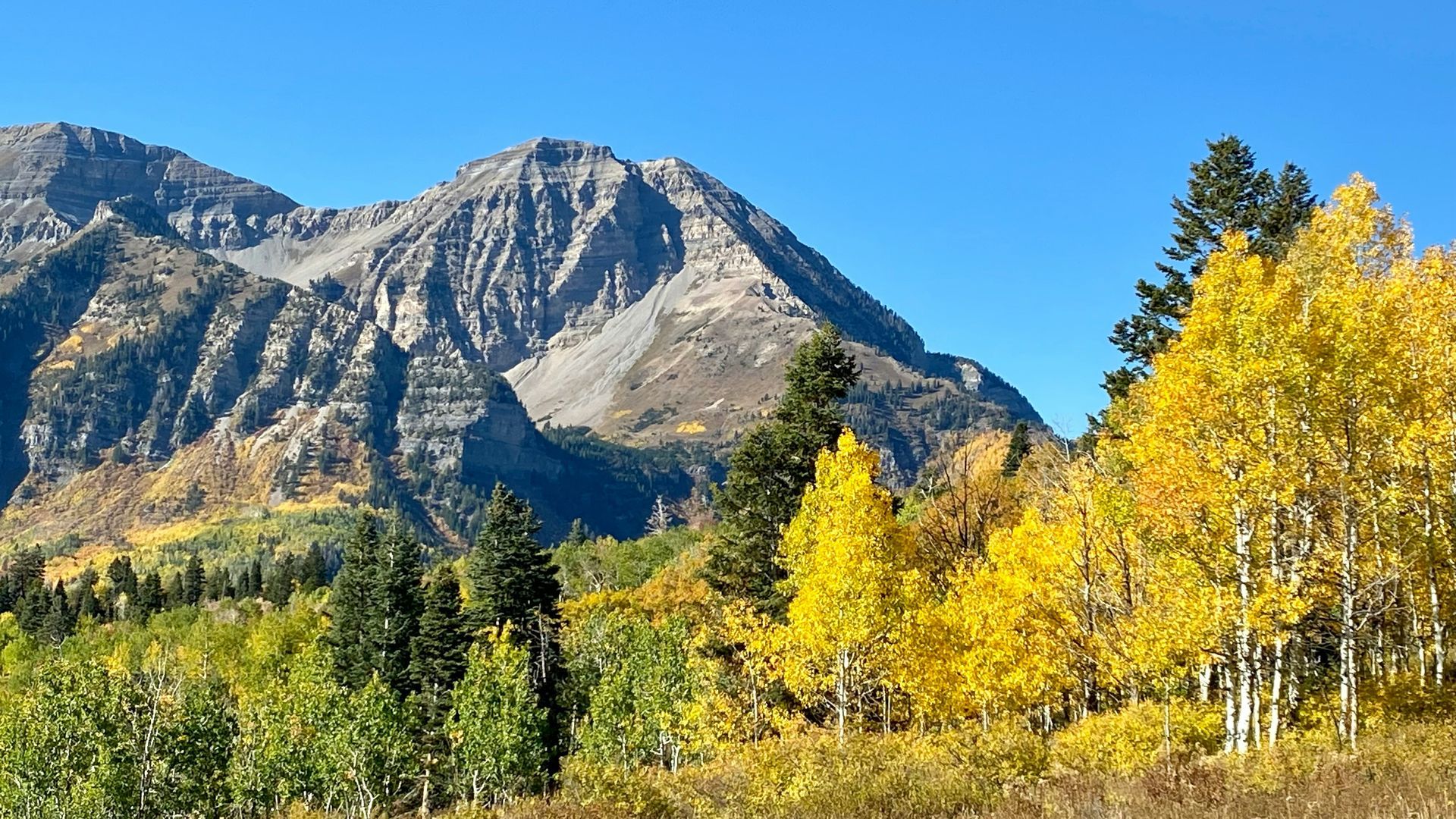 Mountain landscape with bright yellow and green trees against a blue sky.