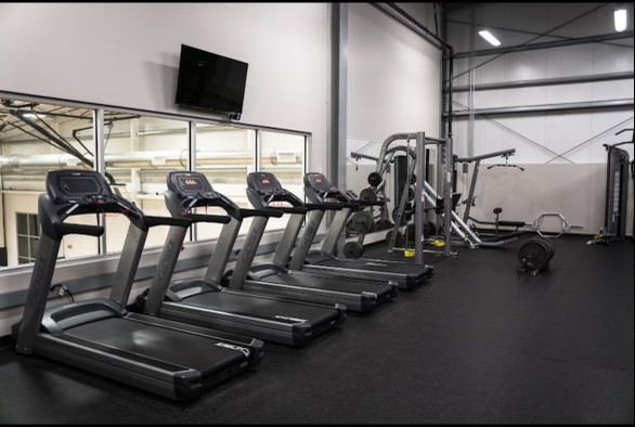 A row of treadmills are lined up in a gym.