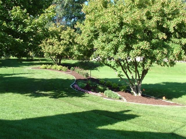 Green Lawn and Trees — Anoka, MN — AAA All American Lawn & Landscaping