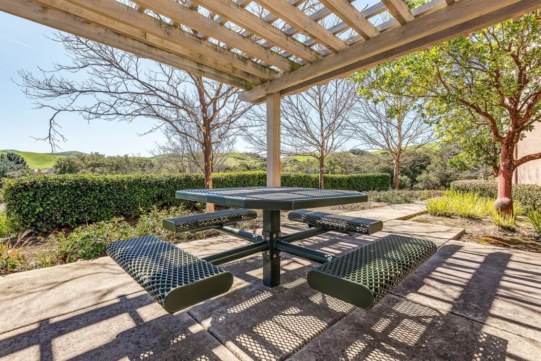 Covered picnic table under a wooden pergola in a sunny park with trees and shrubs nearby