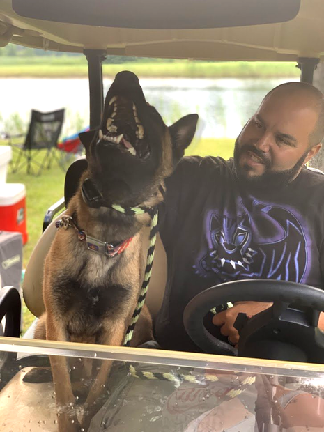 Dog Training — Dog Smiling in Center Line, MI