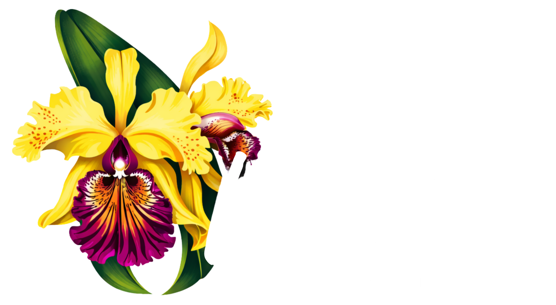 Kardia Wellness Co. Logo