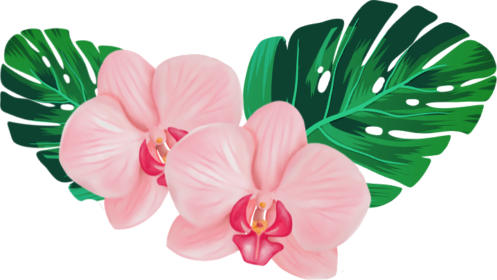 Pink orchids and green monstera leaves.