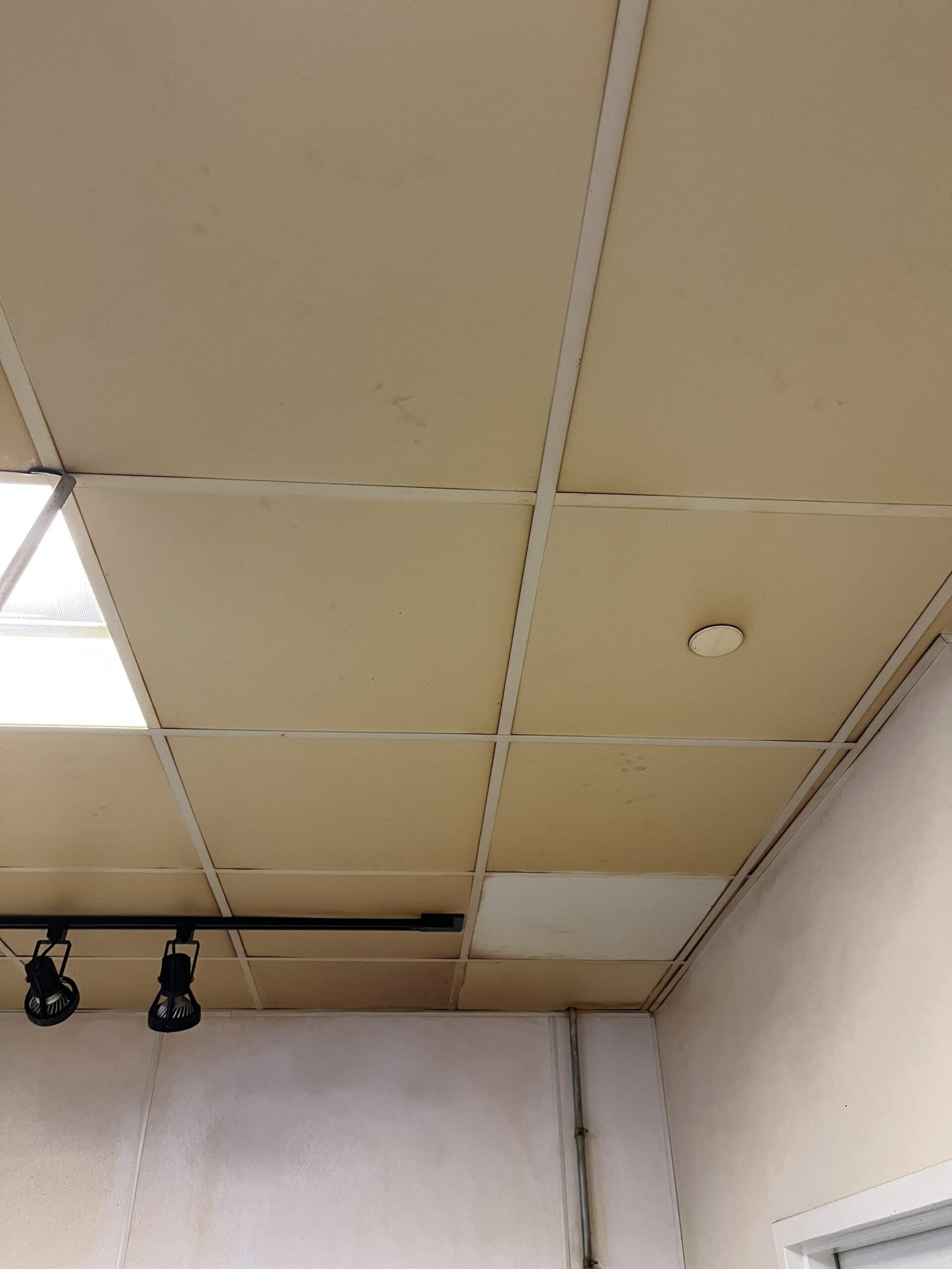 A room with a tiled ceiling and a light on the ceiling.