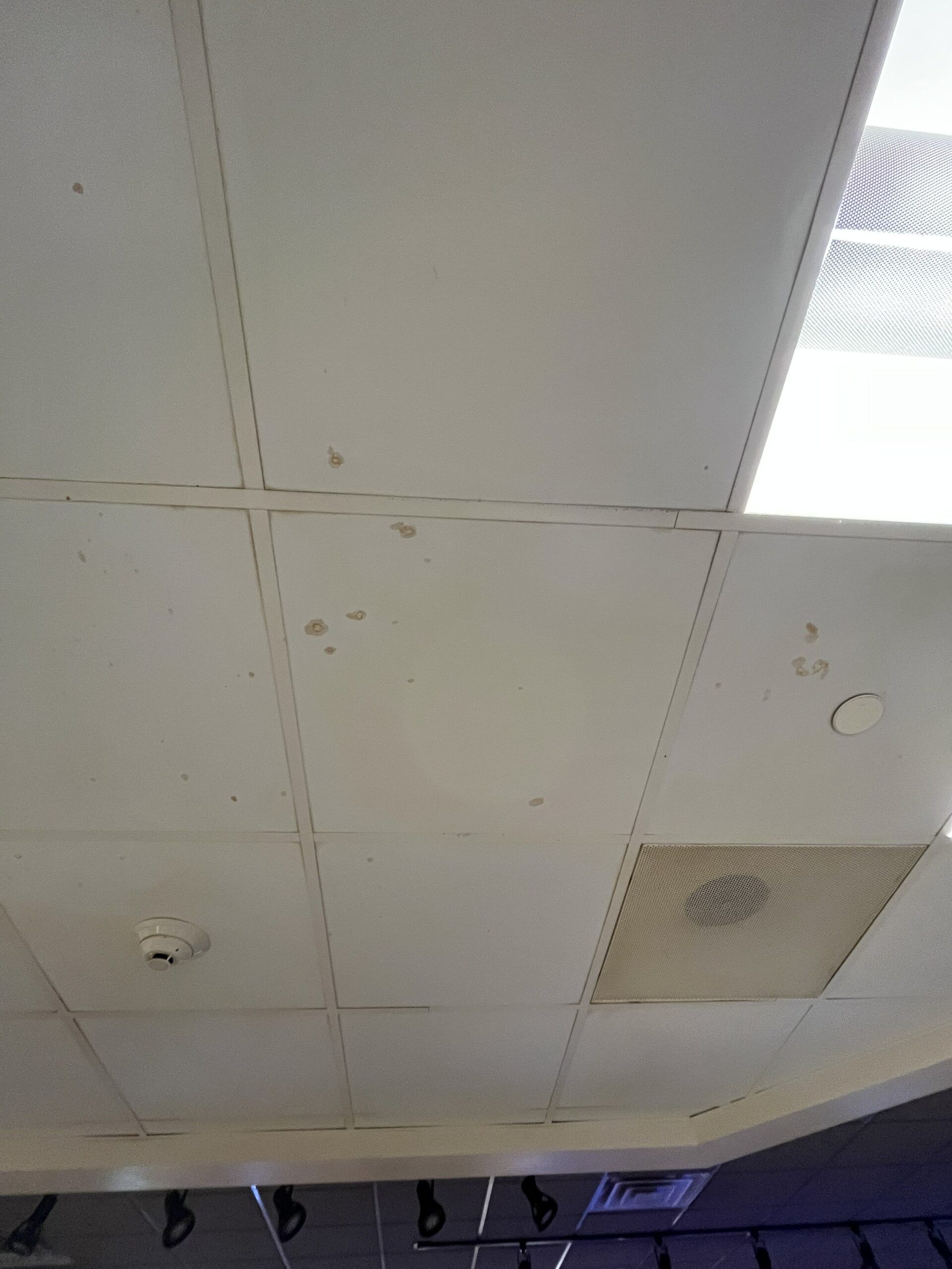 Ceiling | S. Glens Falls, NY | Performance Industrial