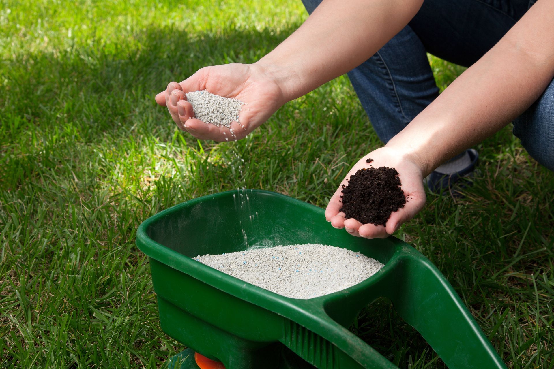 A person is spreading fertilizer on a lawn next to a wheelbarrow.