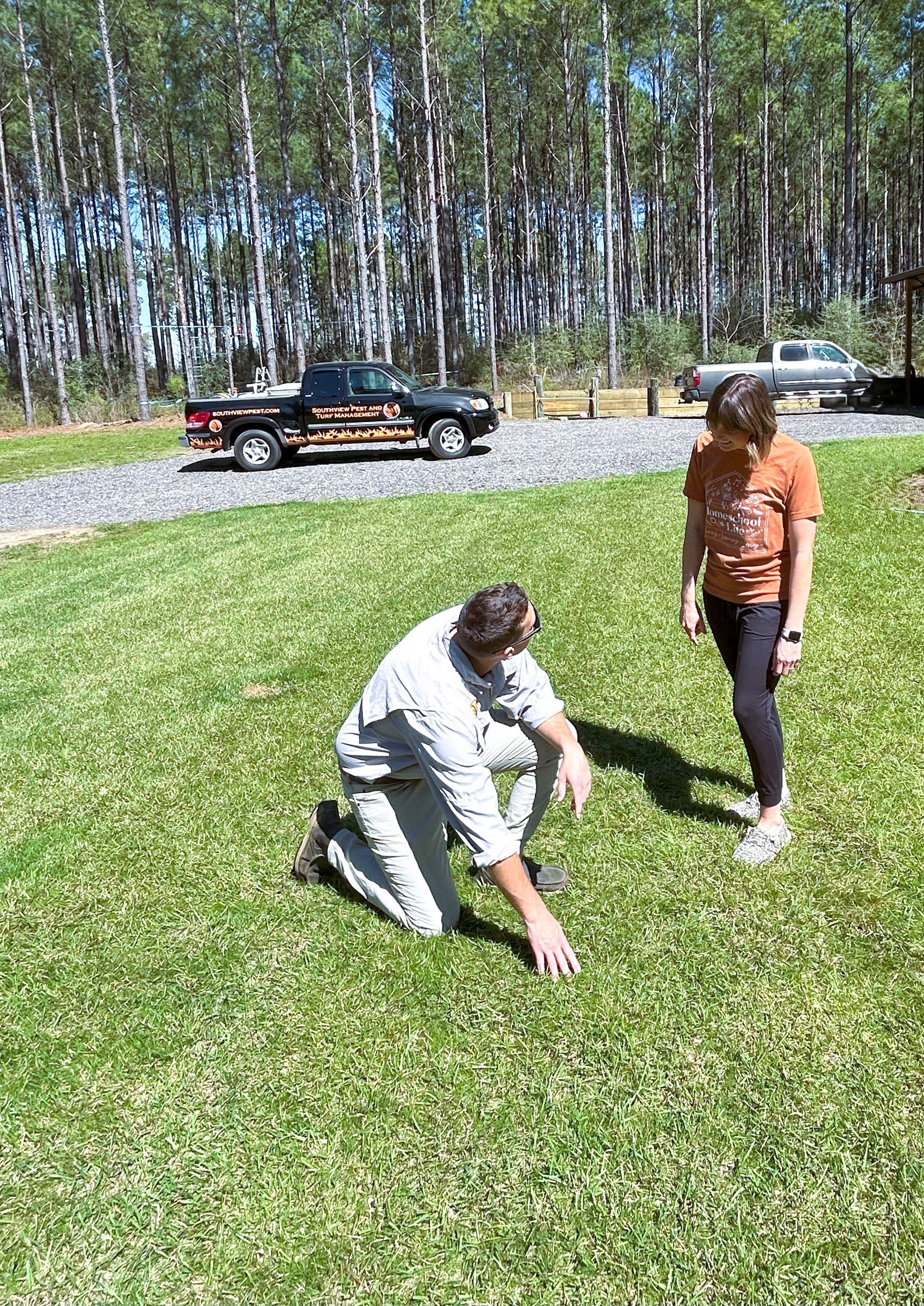A wooden fence is surrounded by trees in a backyard.