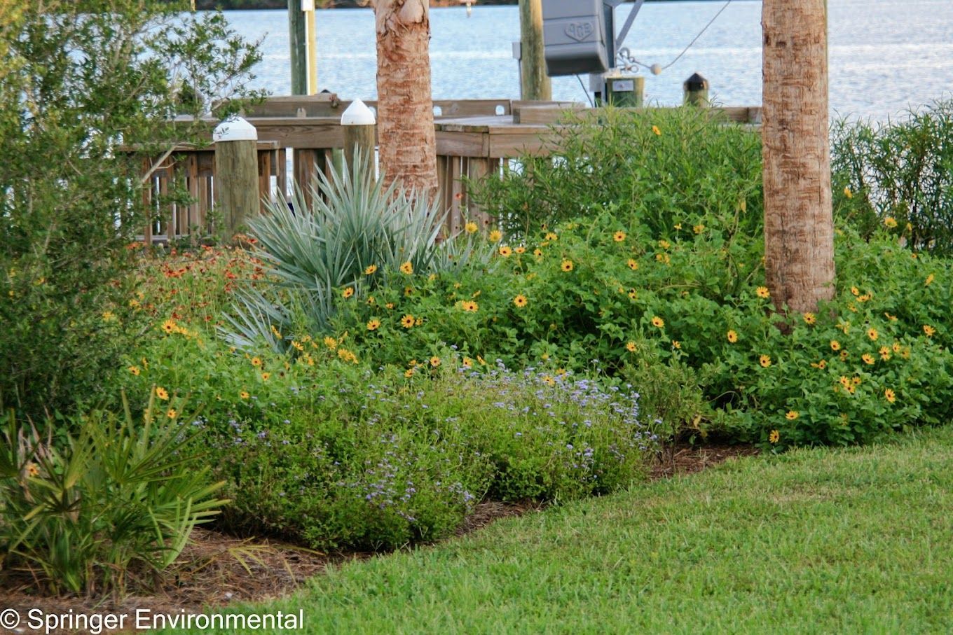 Native Landscape Installation