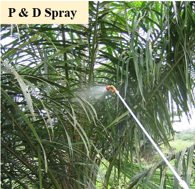 p & d spray, sprayer, jun chong sprayer, cross mark sprayer, pb original sprayer, hand sprayer, agricultural sprayer, knapsack sprayer, backpack sprayer, semi auto knapsack sprayer, mechanical sprayer, high volume sprayer, low volume sprayer, durable sprayer, light weight sprayer, insecticide sprayer, pesticide sprayer, pam racun, pam racun pb, pam racun rumput, pam racun manual, mesin penyembur racun rumput, pam racun galas.