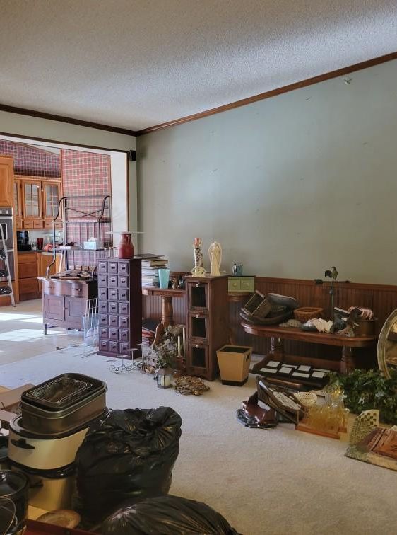 A cluttered room with furniture, storage units, and bags. Kitchen visible in the background. Beige carpet, pale green wall.