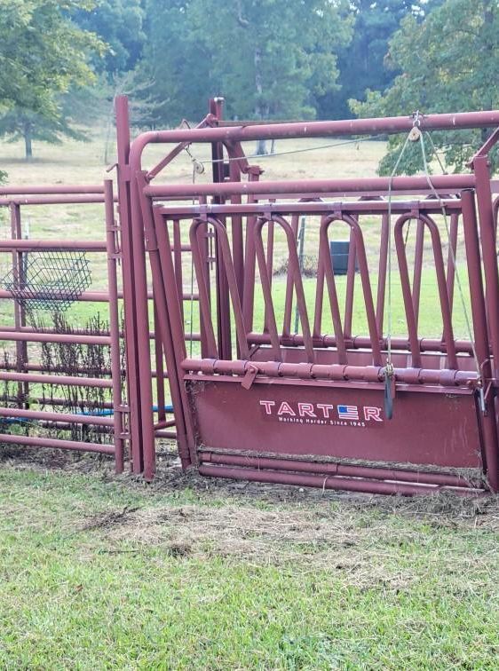 Red Tarter livestock chute and pen in a grassy field.