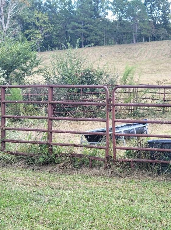 Rusty metal gate in a grassy field, with a hill and trees in the background.