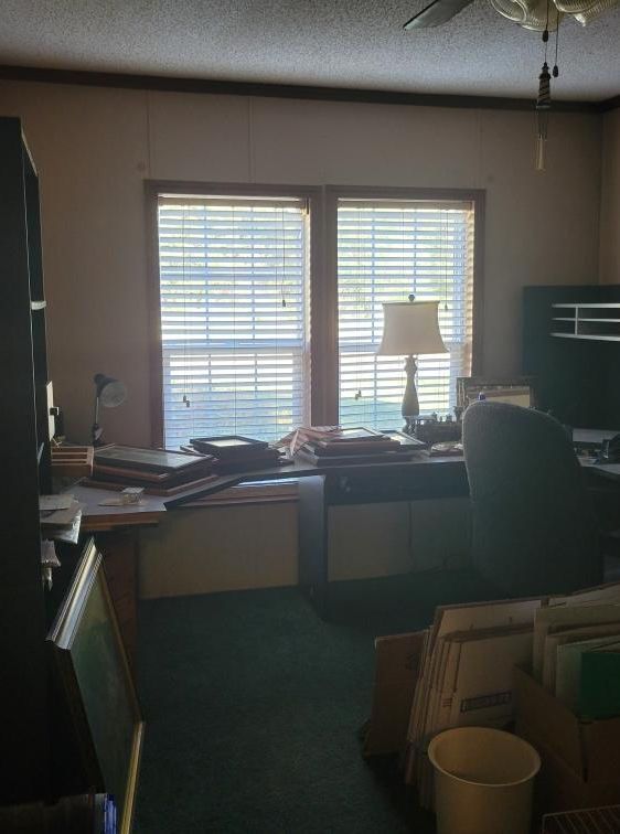 Cluttered home office with windows, desk, green carpet, and a lamp.