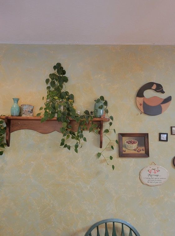 Wooden shelf with plants and small decor on a textured, light yellow wall.