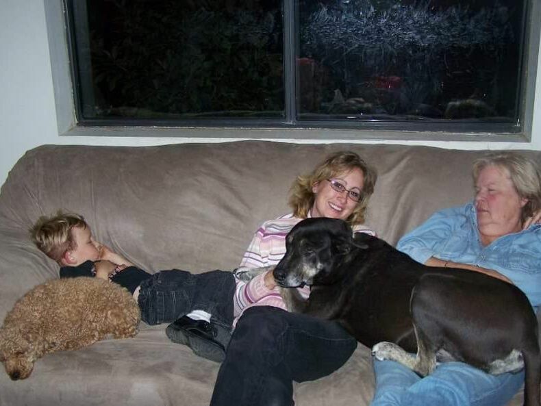 JT pet resort visitors