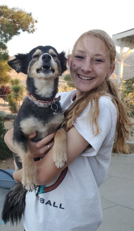 A girl is holding a small dog in her arms.