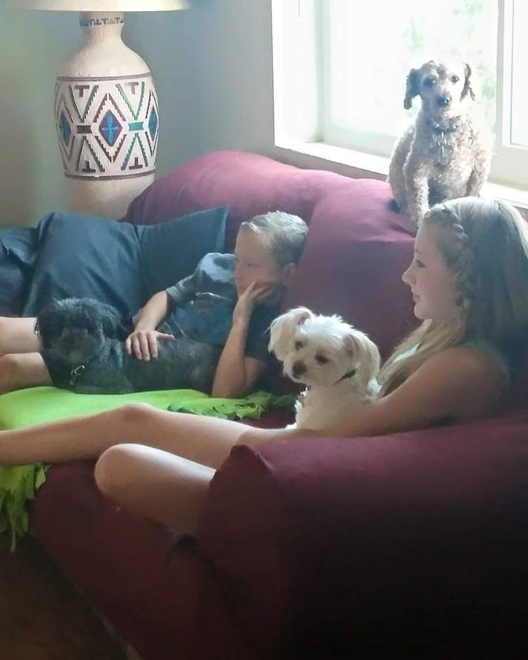 A boy and a girl sit on a couch with their dogs