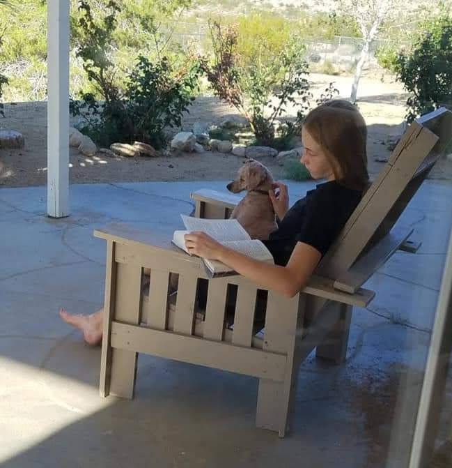 A woman sits in a chair holding a dog and reading a book