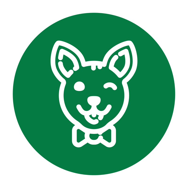 A dog wearing a bow tie is winking in a green circle.