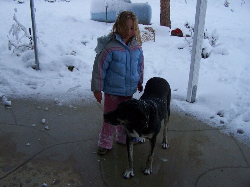 A little girl standing next to a black dog in the snow
