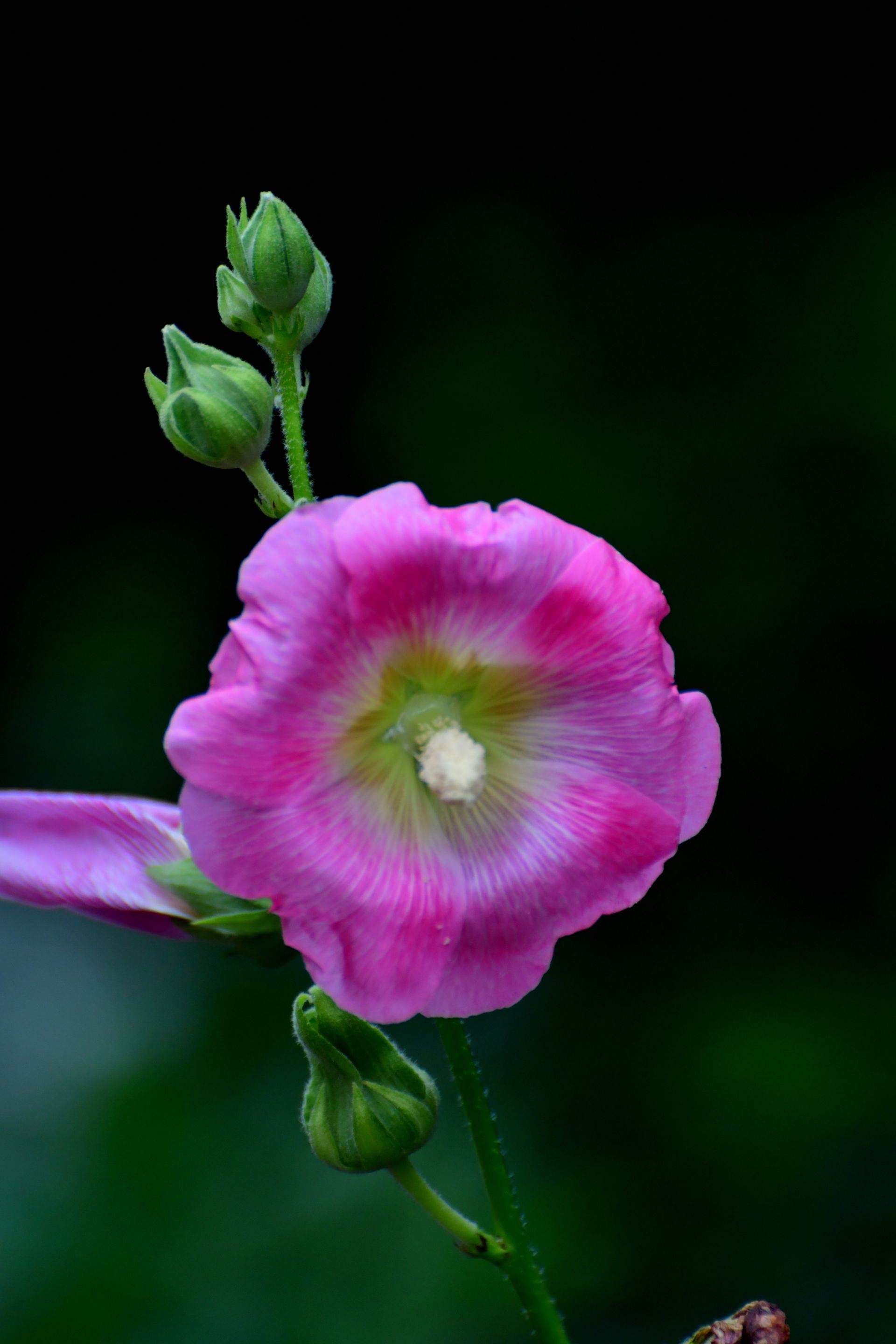 Lo chef in camice bianco e grembiule a righe sorride, seduto fuori.