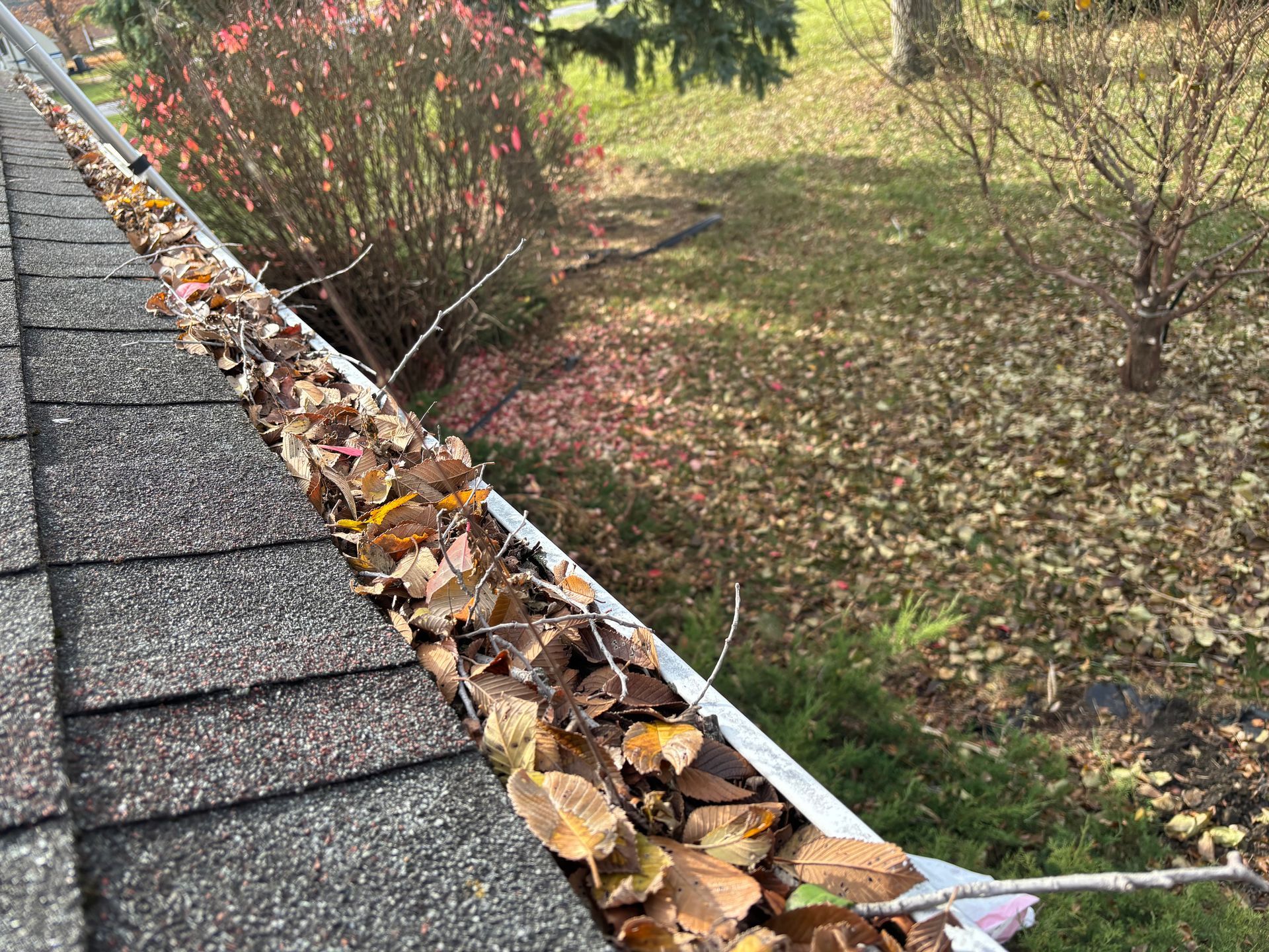 gutter filled with leaves
