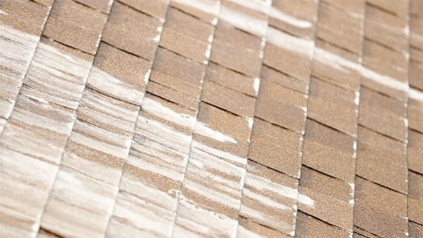 shingle roof showing roof cleaning solution applied