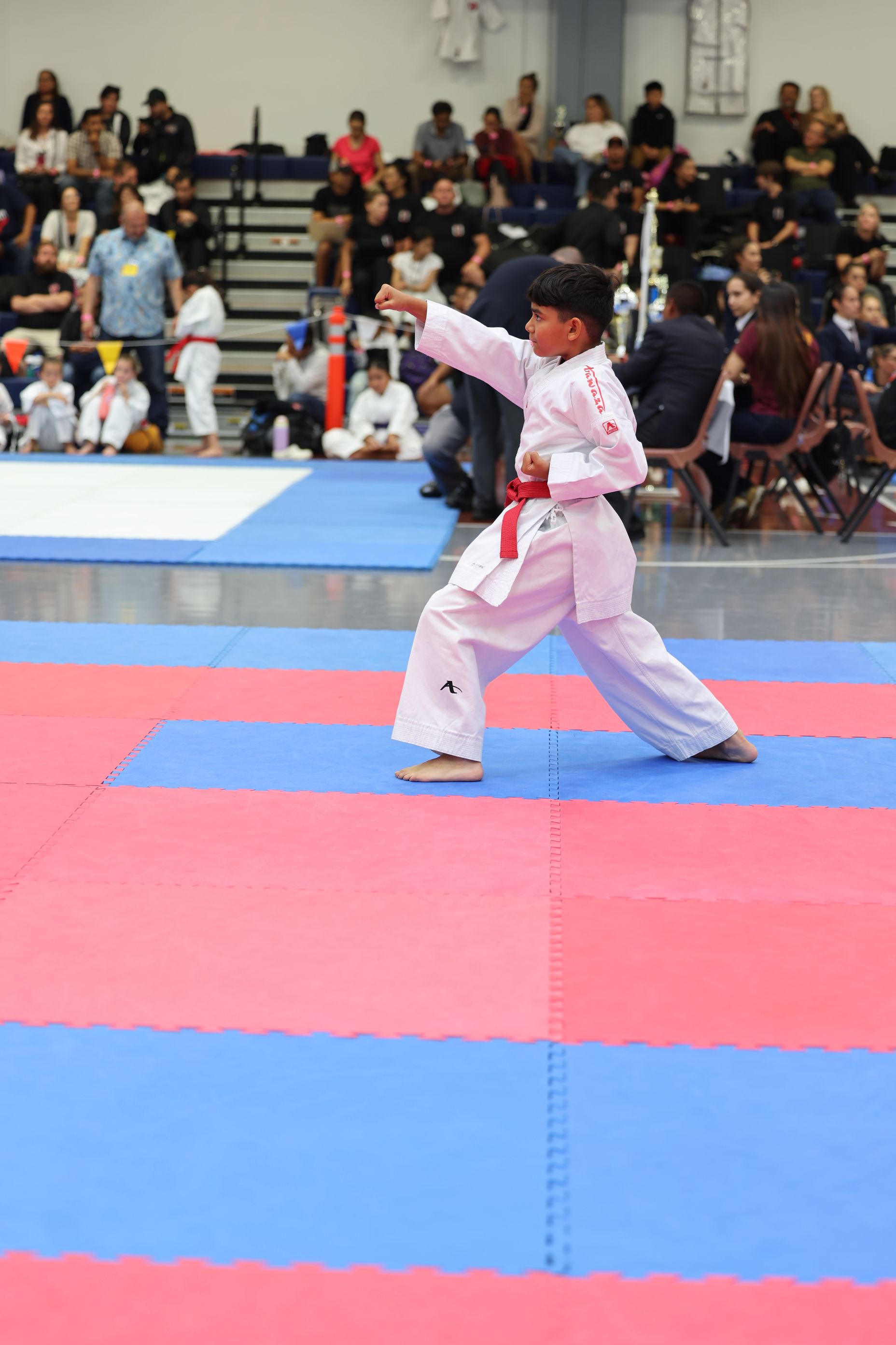 Boy in white karate uniform with red belt, executing a punch in a competition.