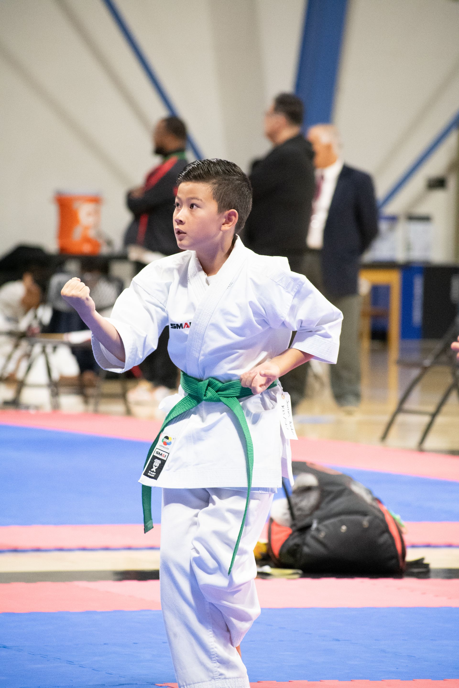 Young karateka in white uniform with a green belt performing a karate stance, indoors.