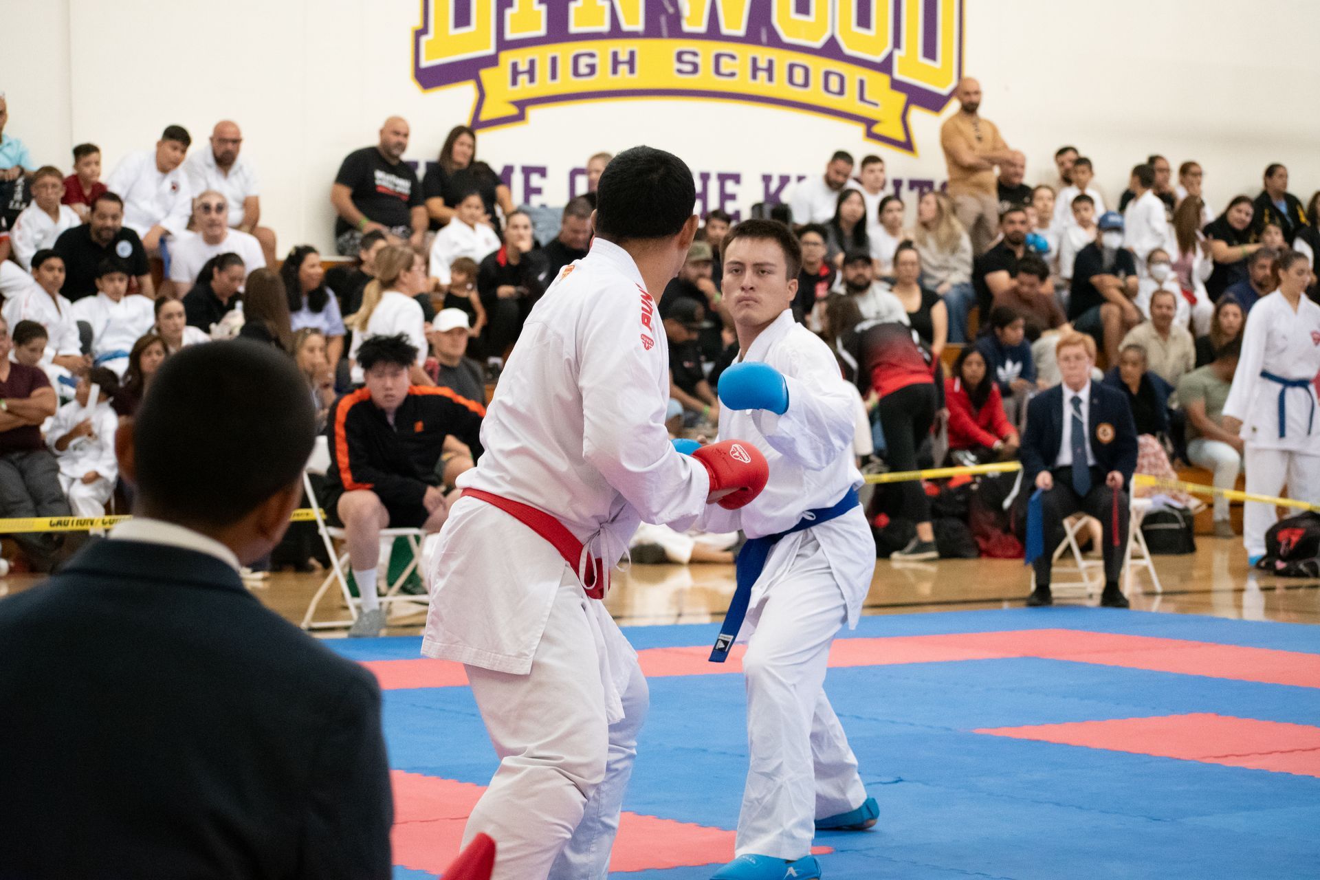 Two young men are in the middle of a karate bout