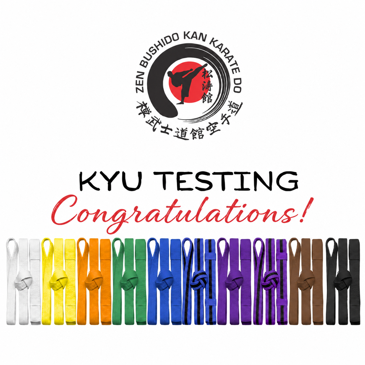 Kyu Testing congratulatory banner with black, red, and white logo and a row of colorful karate belts