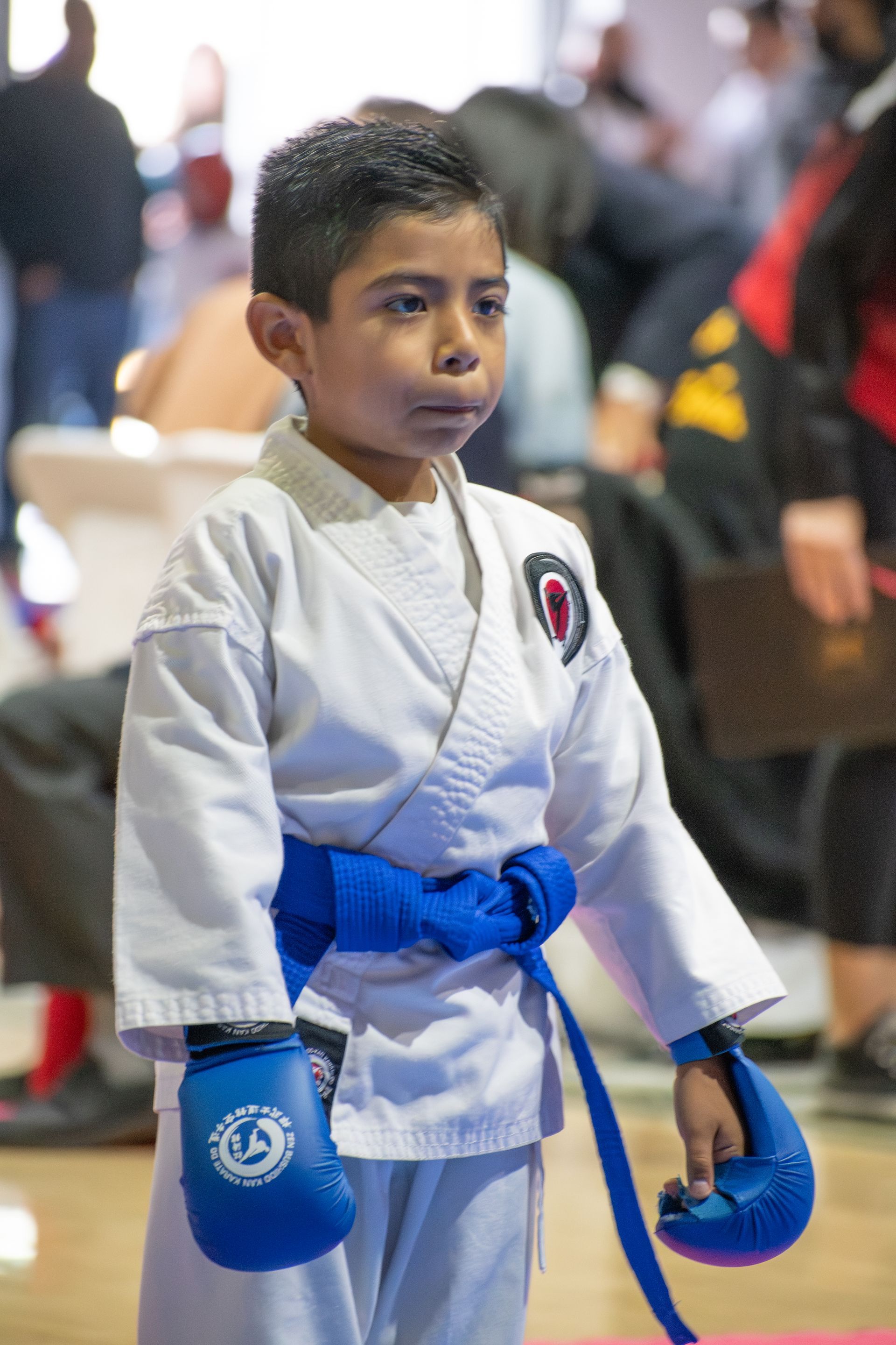 Young martial artist in blue belt, wearing gloves, standing ready in a competition setting.