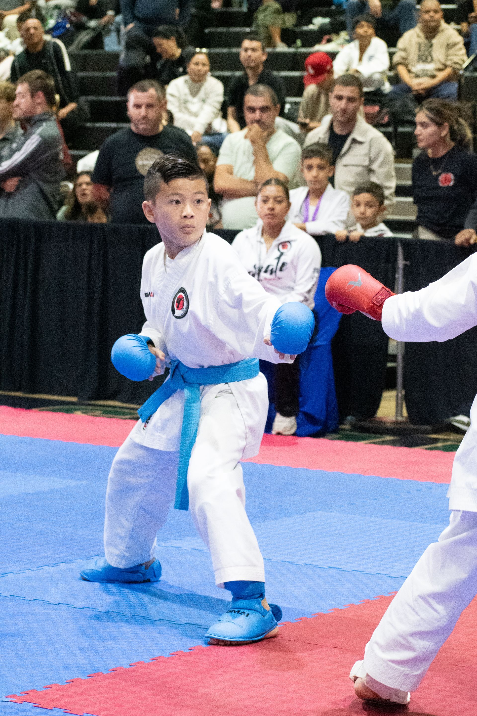 Young karateka in white uniform, blue belt, gloves, sparring. Arena, spectators in background.