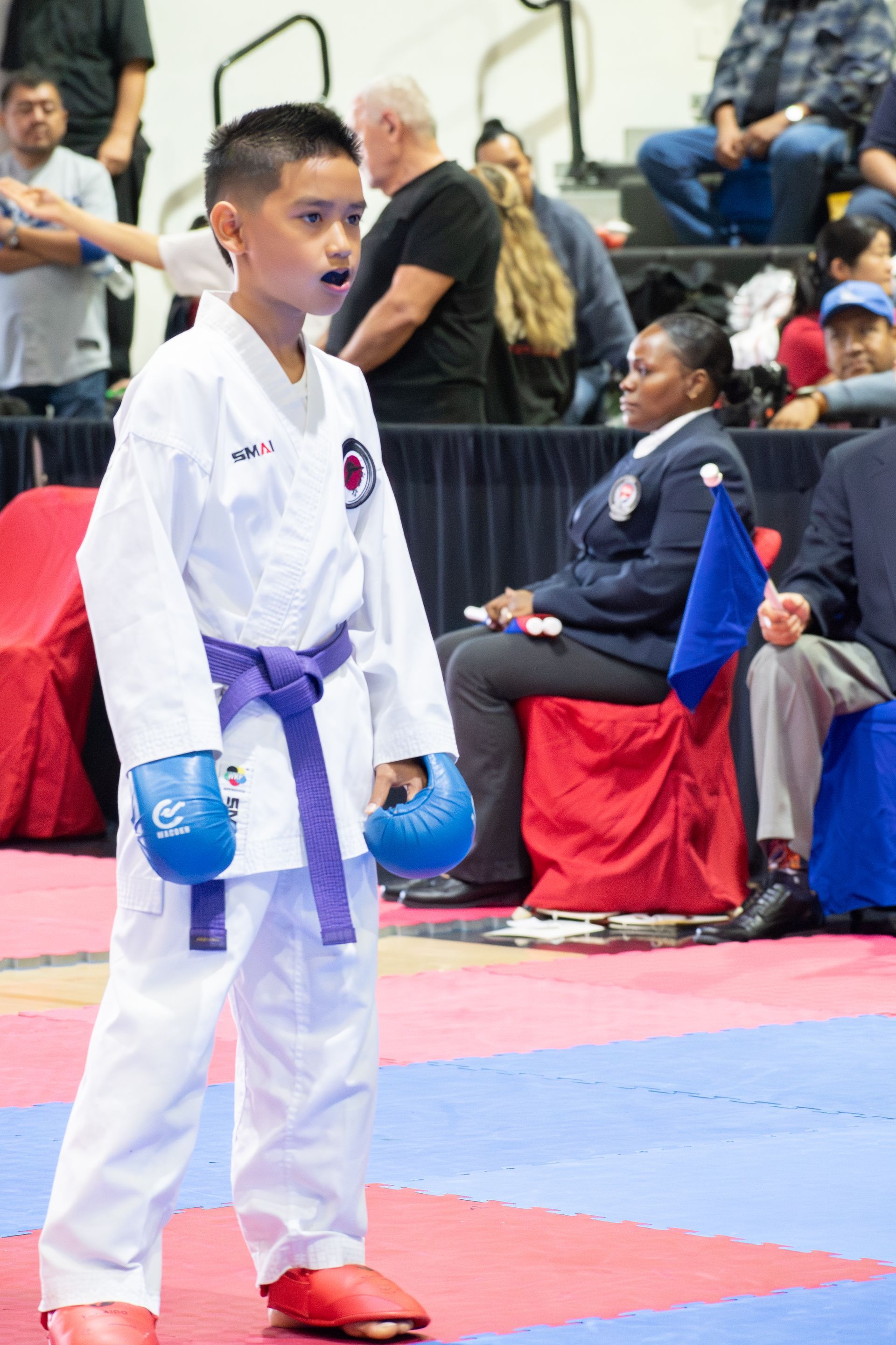 Boy in karate uniform with purple belt and blue gloves, standing on mat. Crowd in background.