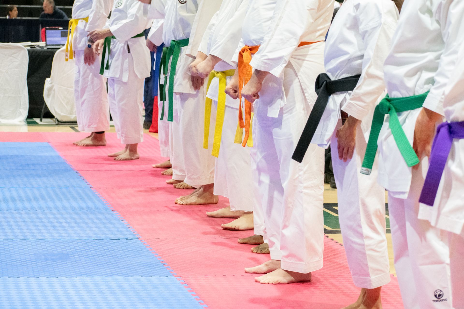Karate practitioners in white uniforms with colored belts, standing on a pink mat.