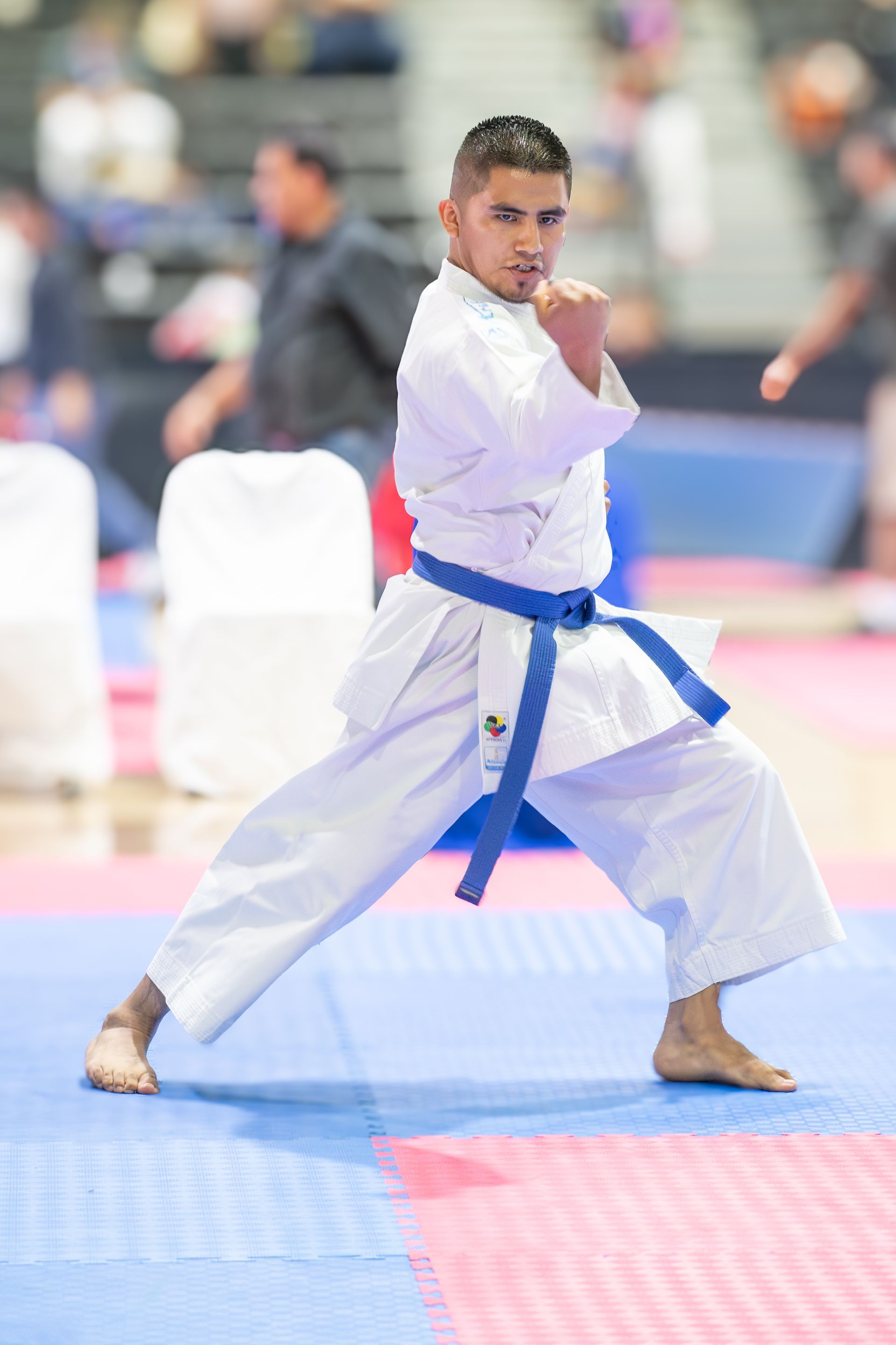 Karateka in blue belt performs a stance, indoors, blue, white, and red mat.