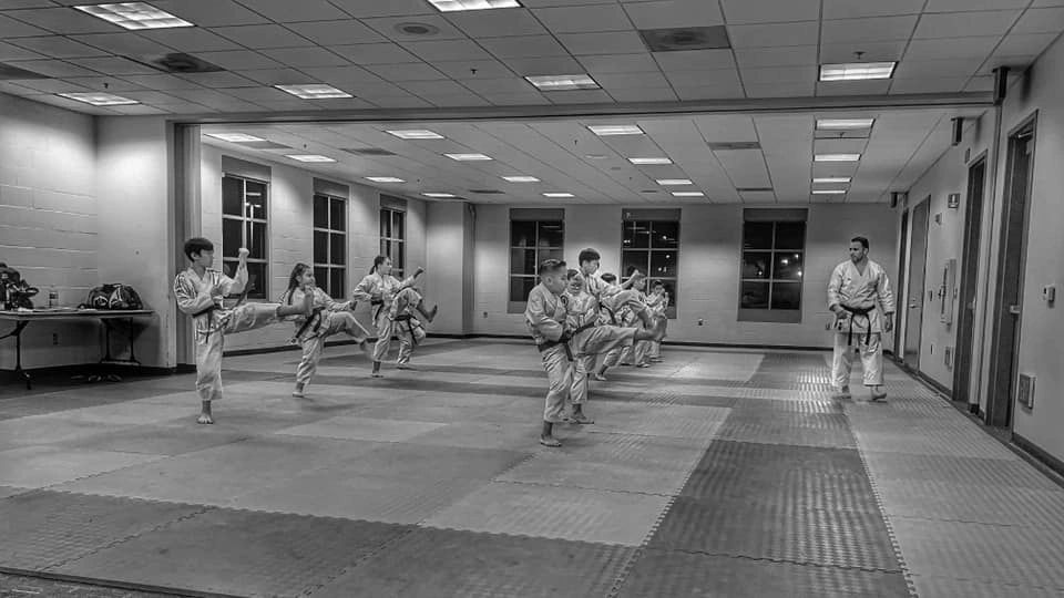 A group of people are practicing martial arts in a gym.