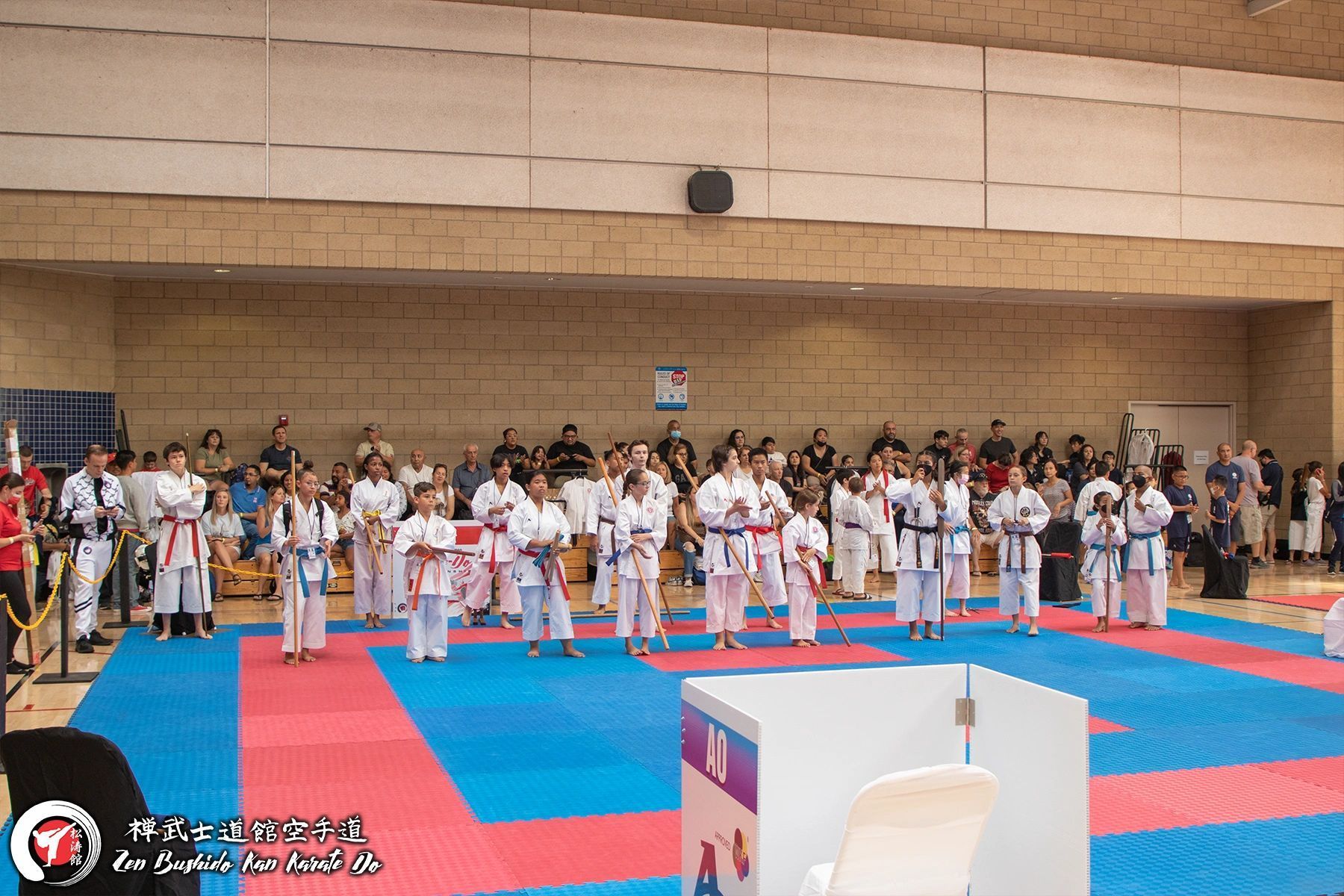 A group of people are standing on a karate mat in a gym.