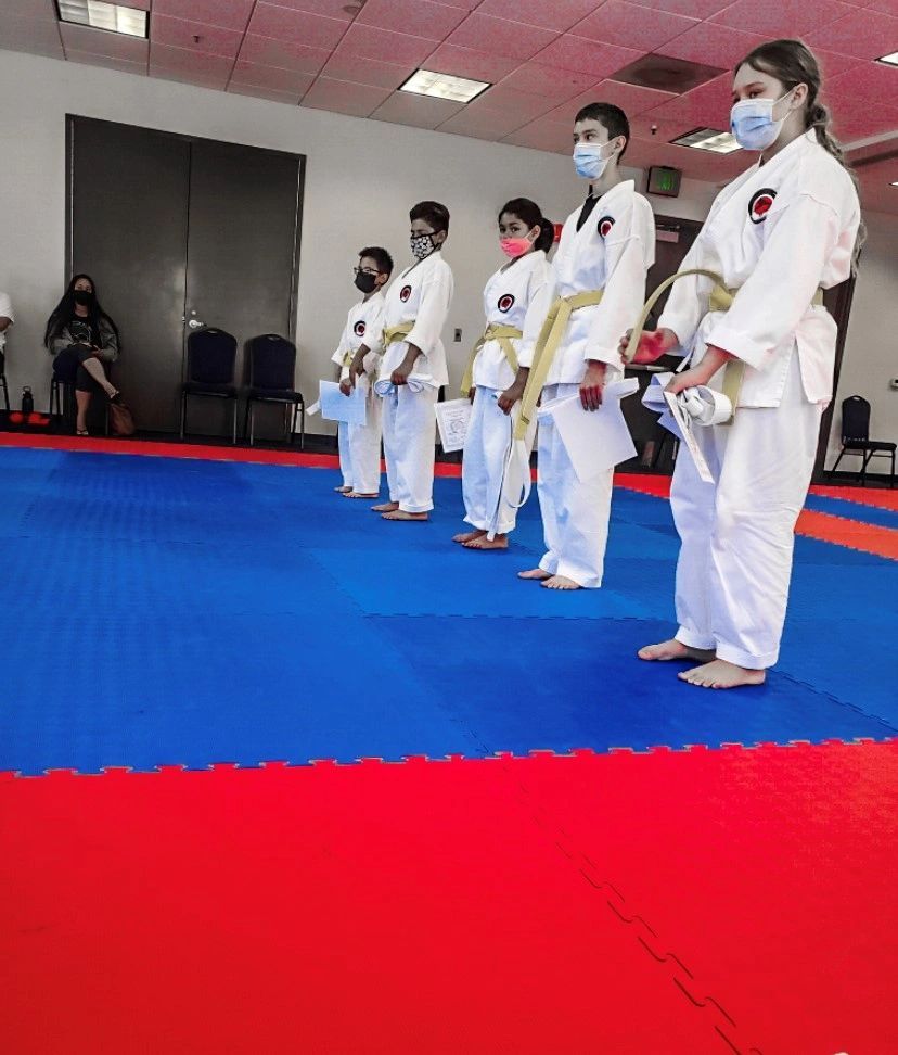 A group of people wearing masks are standing on a karate mat