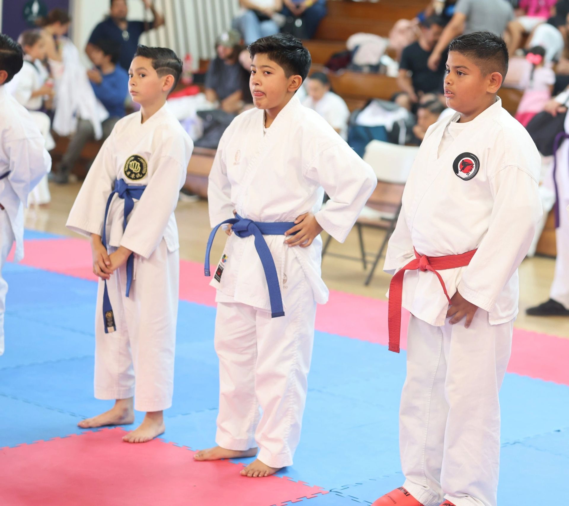 A group of young boys in karate uniforms are standing on a mat