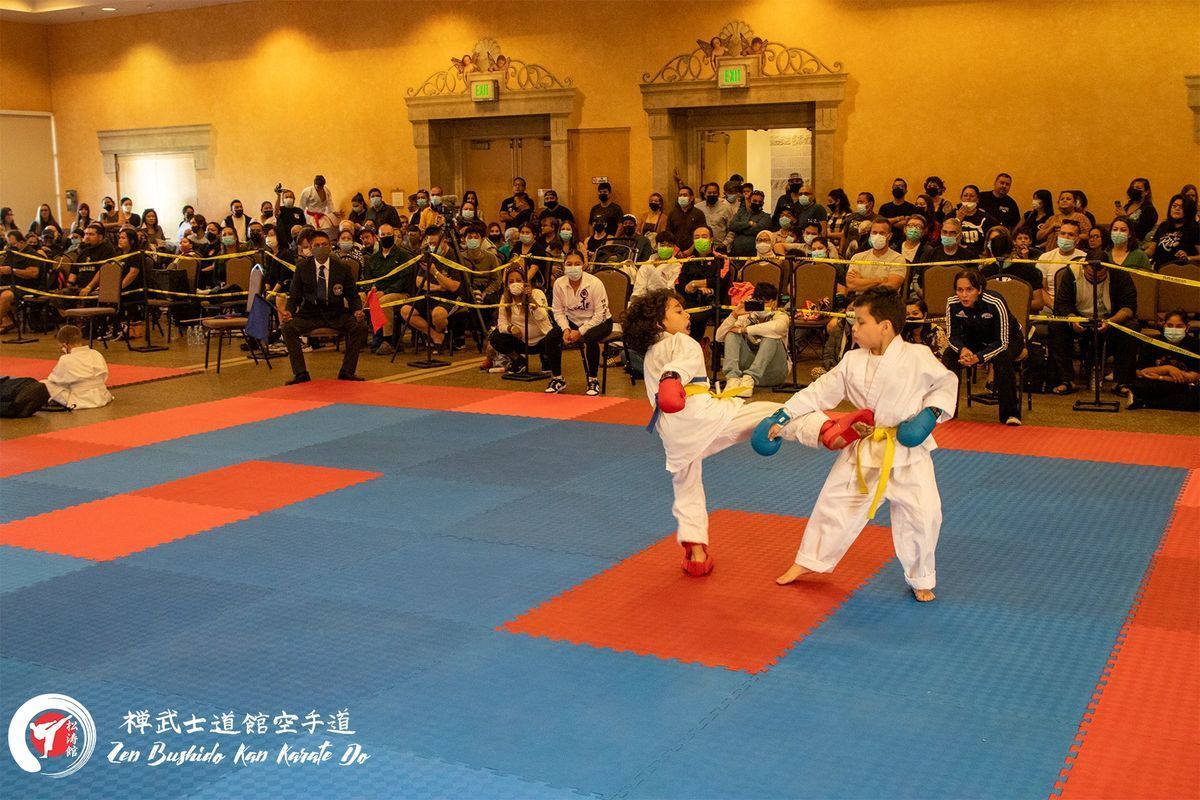 Two young boys are practicing martial arts in front of a crowd