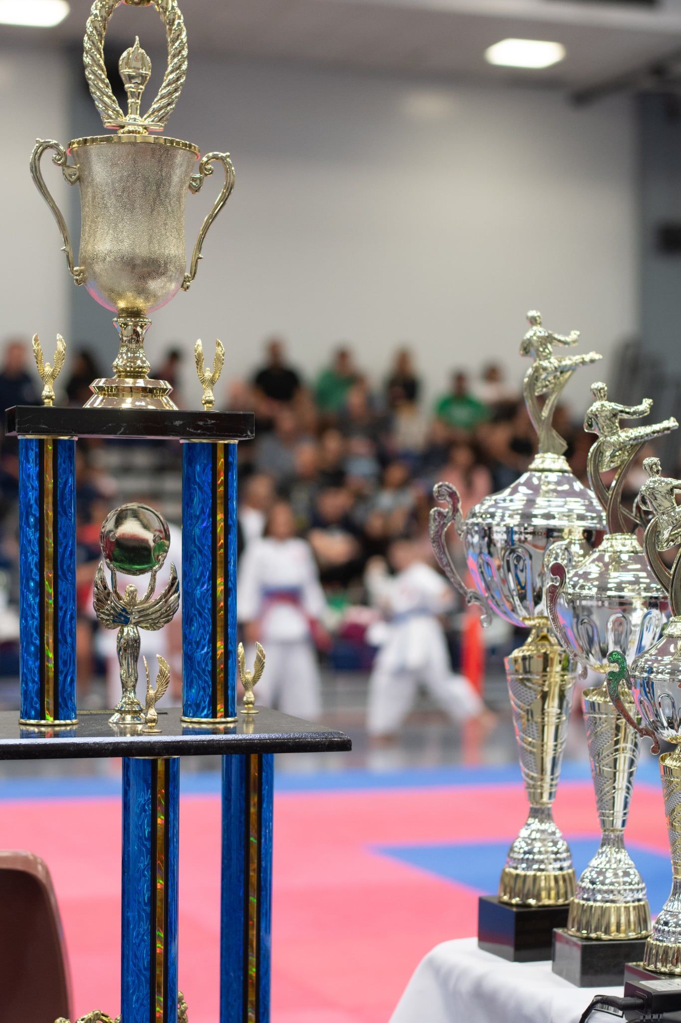 Trophies on a table at a karate tournament, with competitors in the background.
