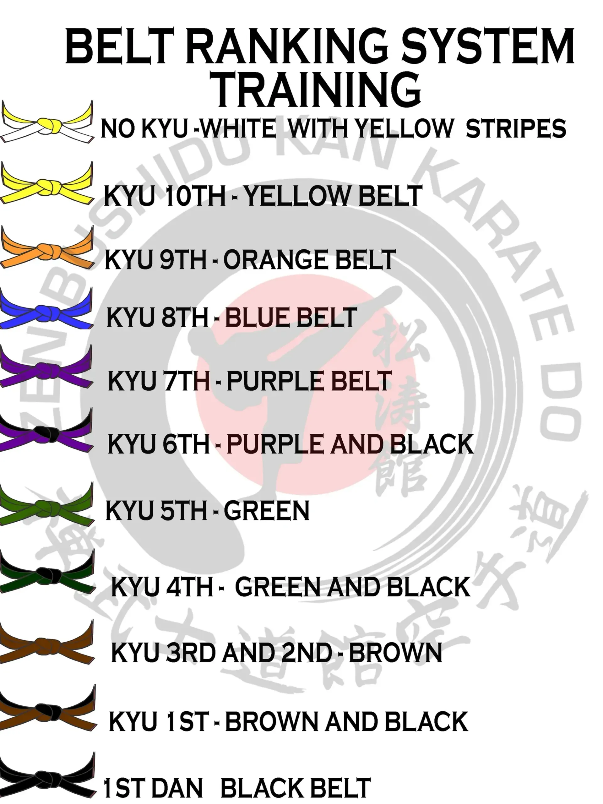 A picture of a belt ranking system for karate