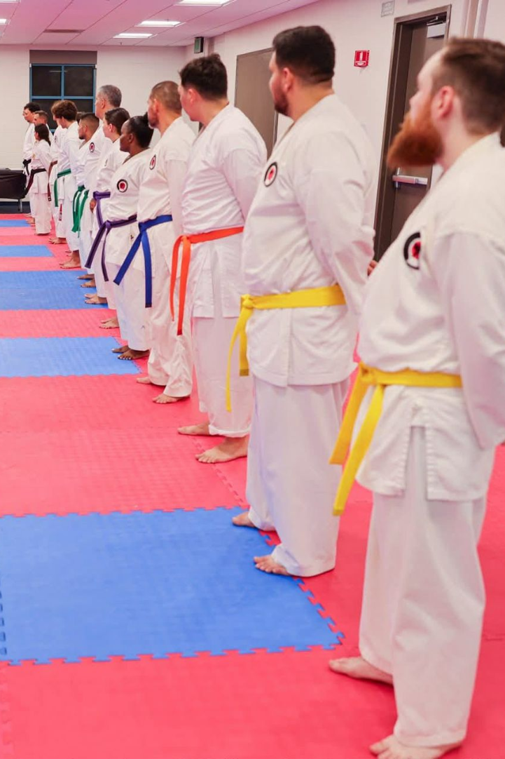 Karate practitioners in white uniforms with colored belts, standing on a pink mat.