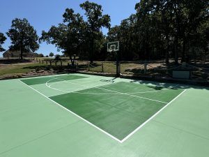 A green basketball court with a basketball hoop and trees in the background.